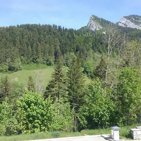 Le Petit Som De Pierre De Chartreuse *