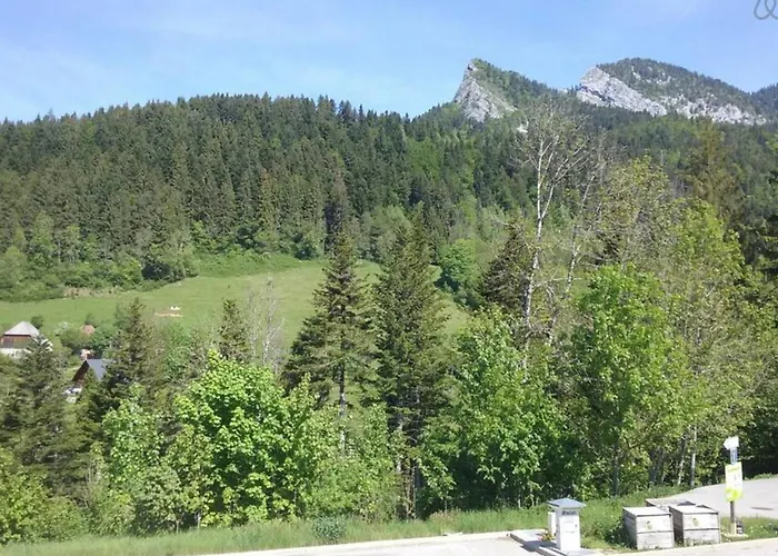 Le Petit Som De Pierre De Chartreuse *